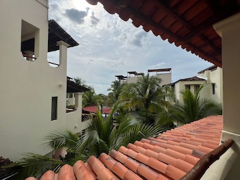 Tropical Gardens