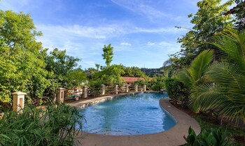 Tropical Gardens