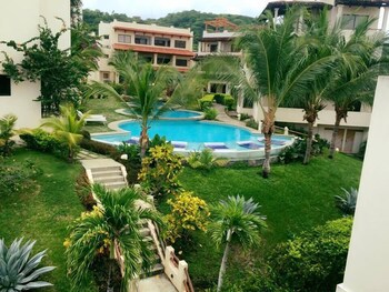 Tropical Gardens