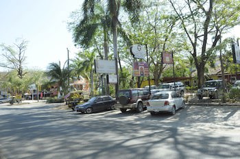 Tropical Gardens
