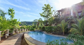 Tropical Gardens