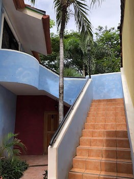 Tropical Gardens