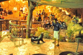 Emirates Park Resort galeri fotoğrafı