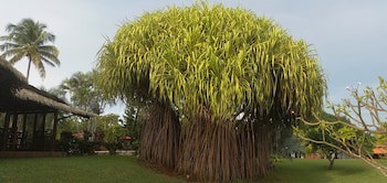 Guacamaya Lodge