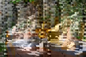 Hotel Unique - Boutique Class - Adults Only