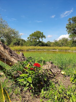 Africa Safari Selous
