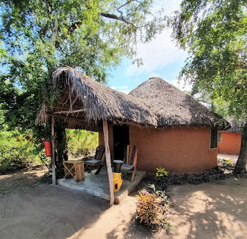 Africa Safari Selous