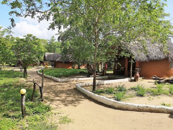 Africa Safari Selous