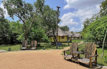 Africa Safari Selous
