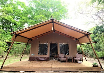 Africa Safari Selous
