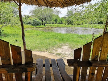 Africa Safari Selous