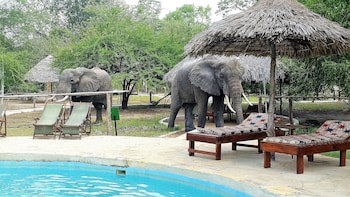 Africa Safari Selous