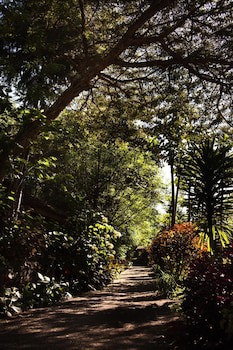 Abay Minch Lodge