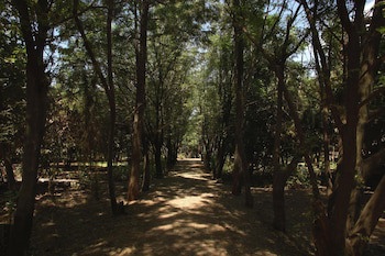 Abay Minch Lodge