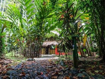 Casa Moabi