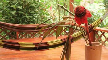 Casa Moabi