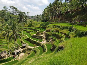 Awatara Boutique Resort Ubud