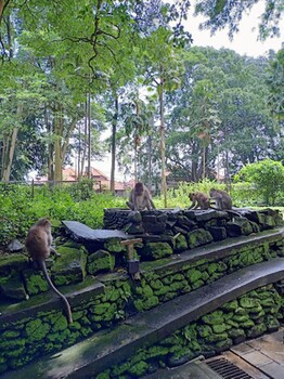 Awatara Boutique Resort Ubud