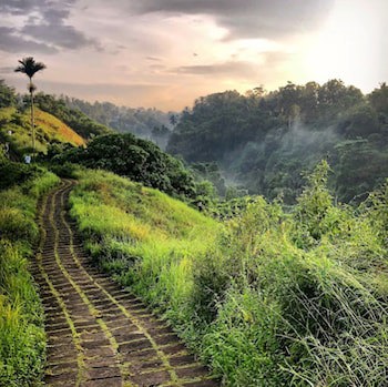 Awatara Boutique Resort Ubud