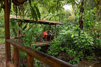 Rancho Margot - All Meals Included