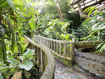 Rancho Margot - All Meals Included
