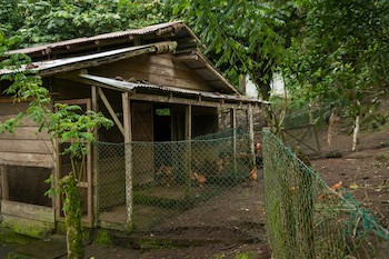 Rancho Margot - All Meals Included