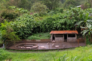 Rancho Margot - All Meals Included