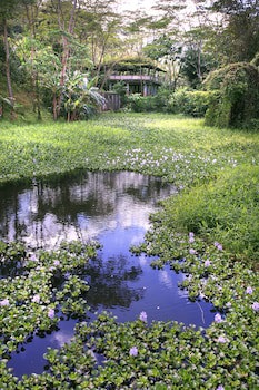 Rancho Margot - All Meals Included