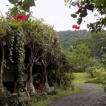 Rancho Margot - All Meals Included