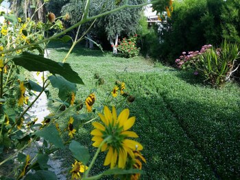 Kkaras Hotel fotoğrafı