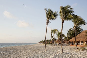 Finest Playa Mujeres By The Excellence Collection - All Inclusive