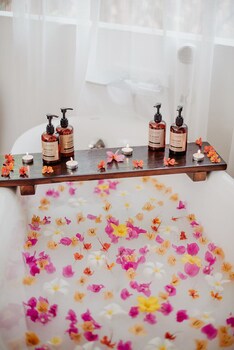 Samanea Beach Resort & Spa