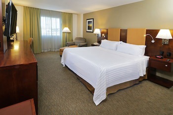 Holiday Inn Hotel & Suites Hermosillo Aeropuerto, An Ihg Hotel