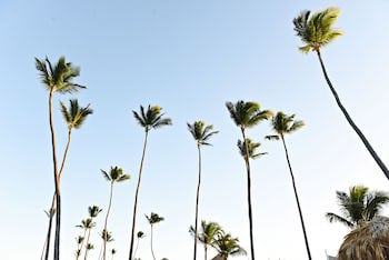 Royalton Chic Punta Cana, An Autograph Collection All-Inclusive Resort & Casino – Adults Only