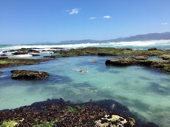 Kleinzee Oceanfront Guesthouse