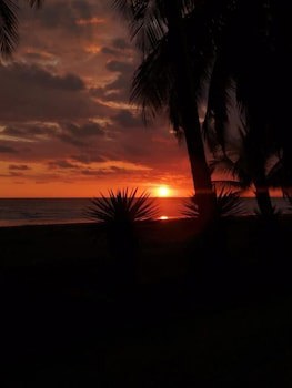 Hotel Delfin Playa Bejuco