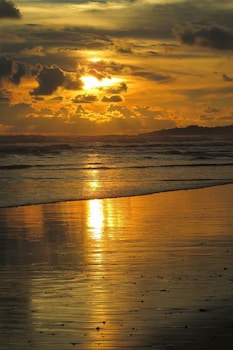 Hotel Delfin Playa Bejuco
