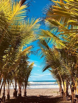 Hotel Delfin Playa Bejuco