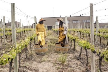 Auberge Du Vin, A Tribute Portfolio Hotel, Tupungato