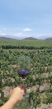 Auberge Du Vin, A Tribute Portfolio Hotel, Tupungato