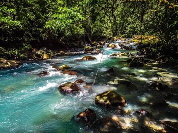 Posada Río Celeste La Amistad