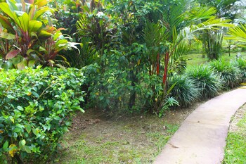 Posada Río Celeste La Amistad