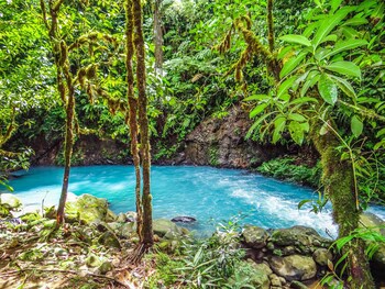 Posada Río Celeste La Amistad
