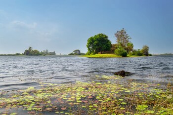 The Lake Garden Nay Pyi Taw Mgallery Collection