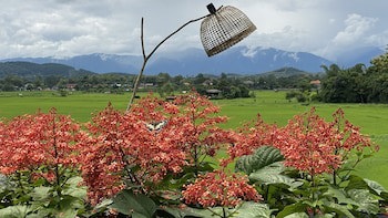 Nan Seasons Boutique Resort