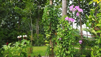 Nan Seasons Boutique Resort