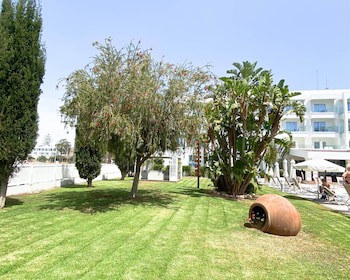 Anesis galeri fotoğrafı