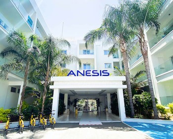 Anesis galeri fotoğrafı