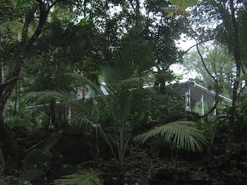 Citrus Creek Plantation