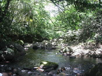 Citrus Creek Plantation